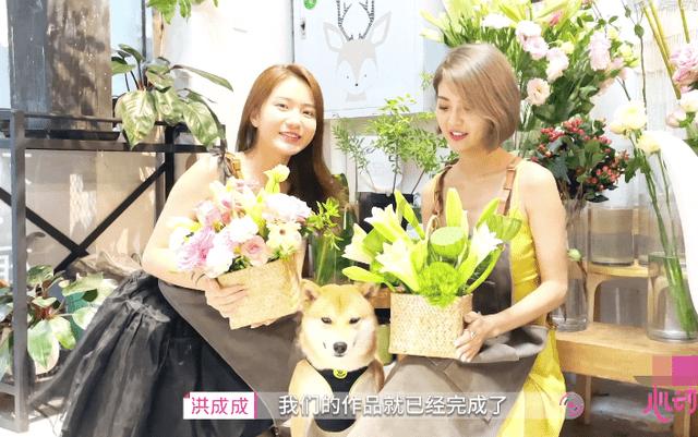 新黄金矿工